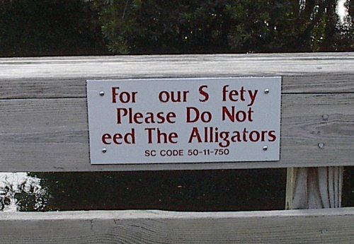 [Don't eed the gators]